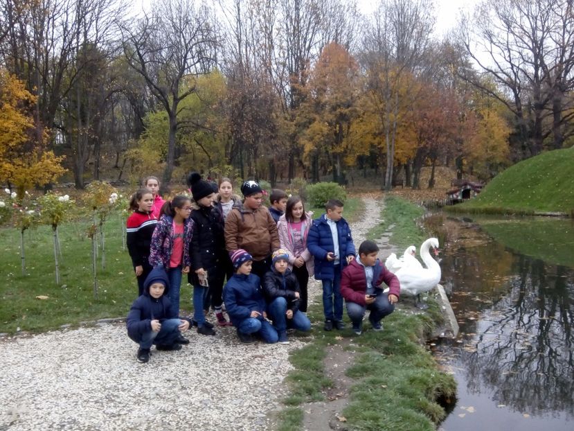  - 2017 - Sc altfel - Excursie Craiova