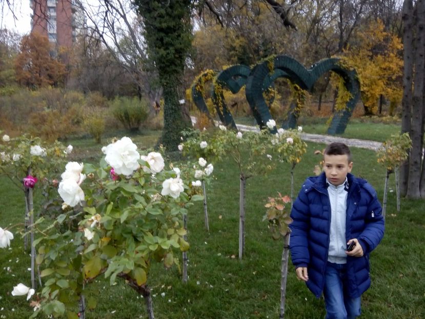  - 2017 - Sc altfel - Excursie Craiova