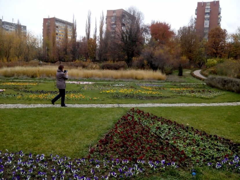  - 2017 - Sc altfel - Excursie Craiova