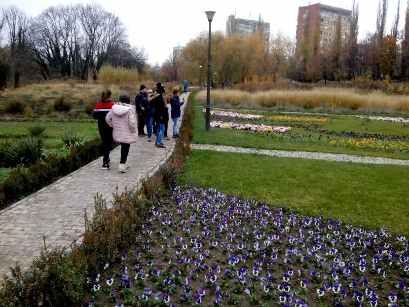  - 2017 - Sc altfel - Excursie Craiova