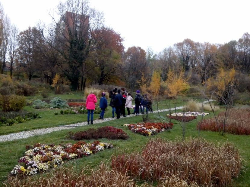  - 2017 - Sc altfel - Excursie Craiova
