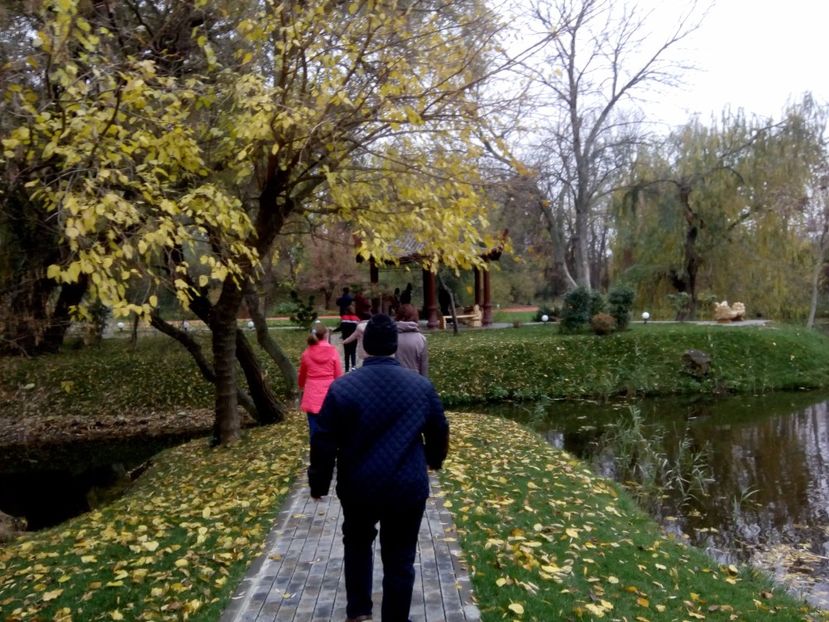  - 2017 - Sc altfel - Excursie Craiova