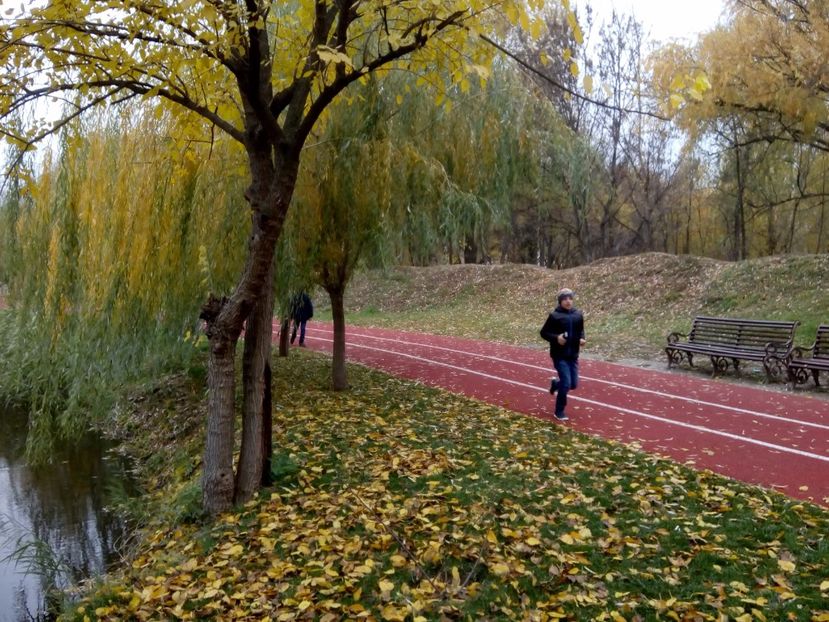  - 2017 - Sc altfel - Excursie Craiova