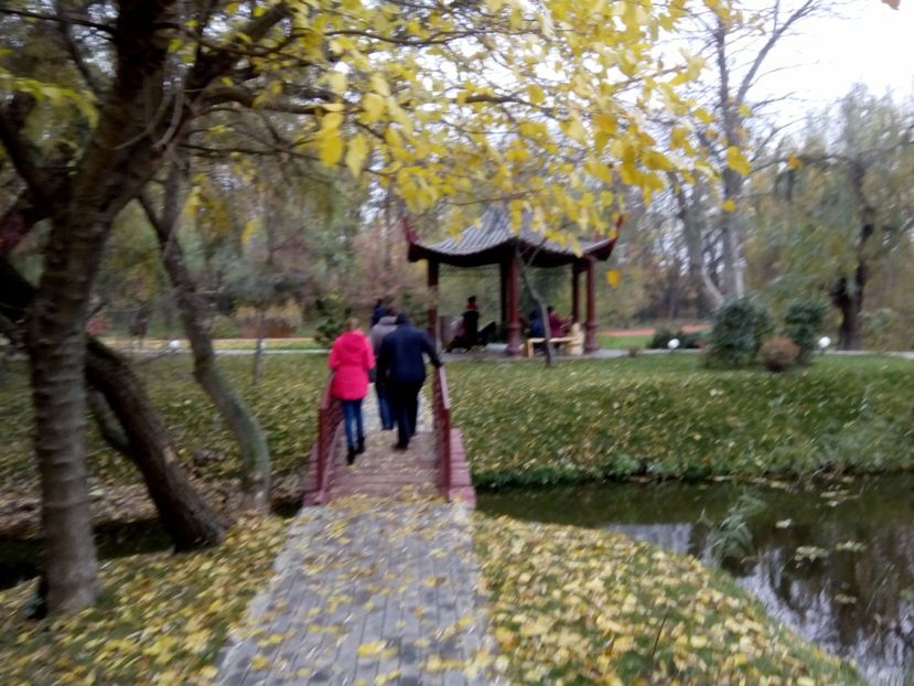  - 2017 - Sc altfel - Excursie Craiova