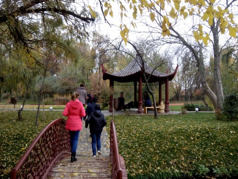  - 2017 - Sc altfel - Excursie Craiova