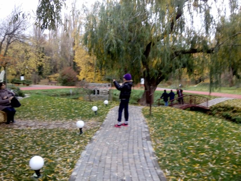  - 2017 - Sc altfel - Excursie Craiova