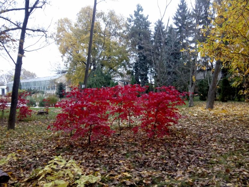  - 2017 - Sc altfel - Excursie Craiova