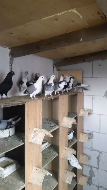  - Ce detin in prezent