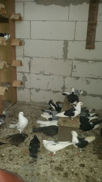  - Ce detin in prezent