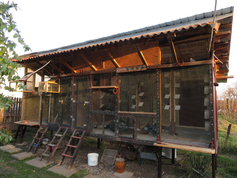  - Vila Paradis - vechea si noua volieră