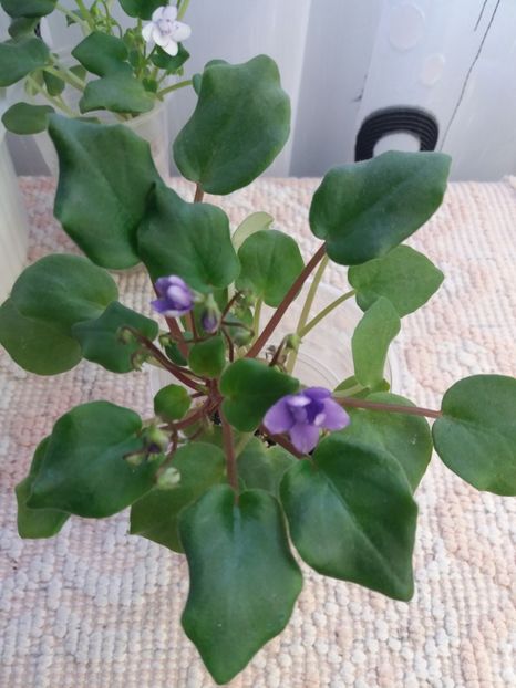 23 nov - Rob s Humpty Doo Sport