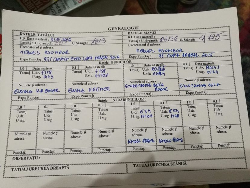  - Mascul 1 RO 5 1721