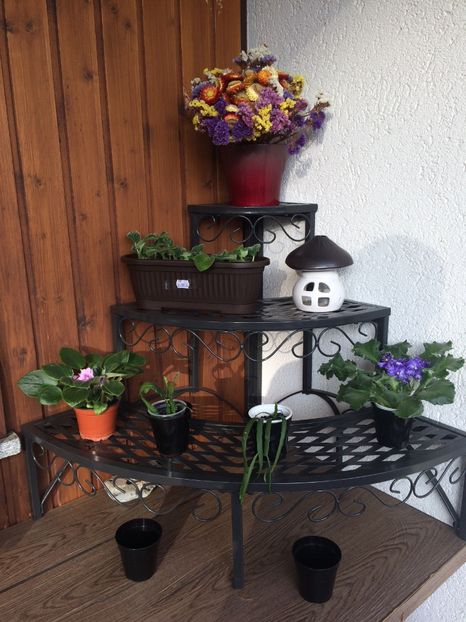 Scărița pe colț - Modele de Raft