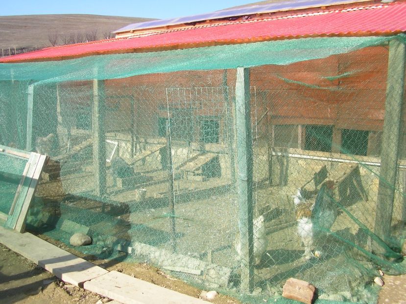 SANY0085 - Arhiva pasari vandute