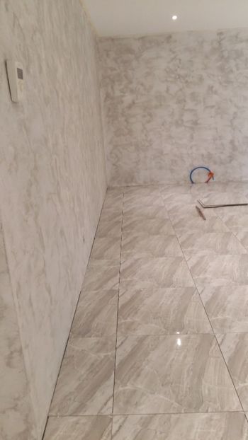  - Lucrari in Lyon 2018