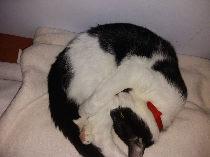  - Duracel în noiembrie 2017