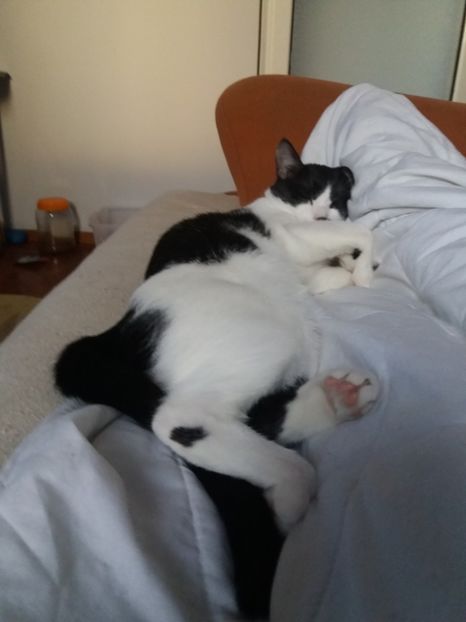  - Duracel în noiembrie 2017