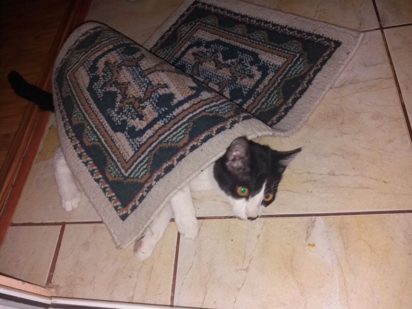  - Duracel în noiembrie 2017