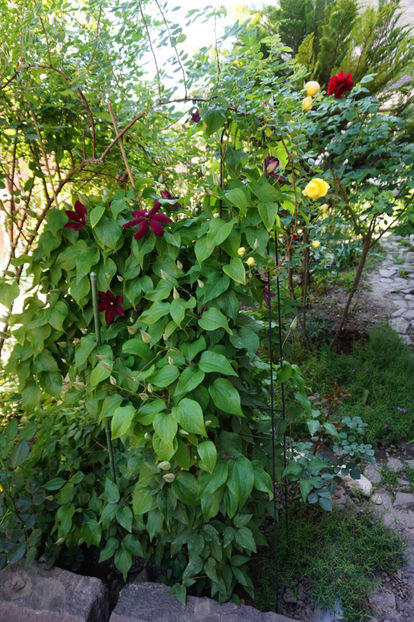  - Souvenir du docteur Jamain