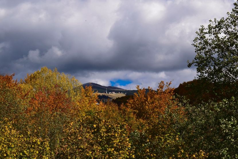  - Frumusetea toamnei