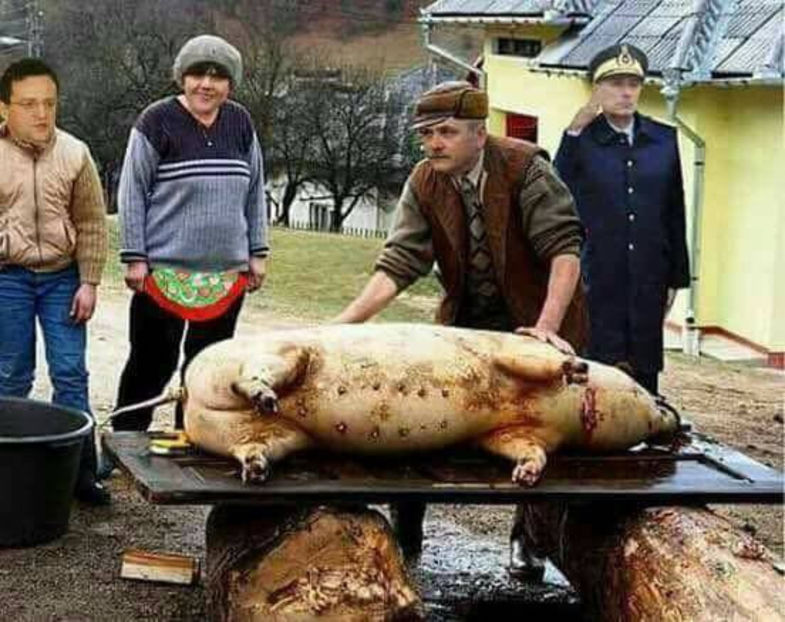  - Poze haioase pamflet