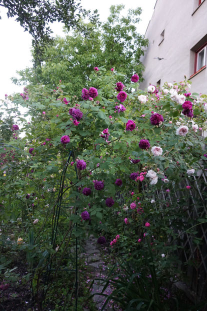  - Erinnerung an Brod