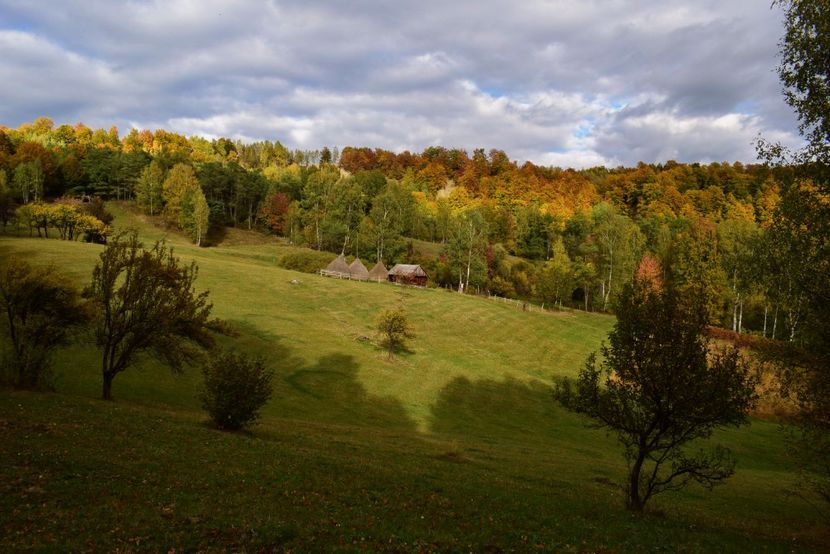  - Frumusetea toamnei