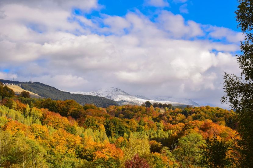  - Frumusetea toamnei