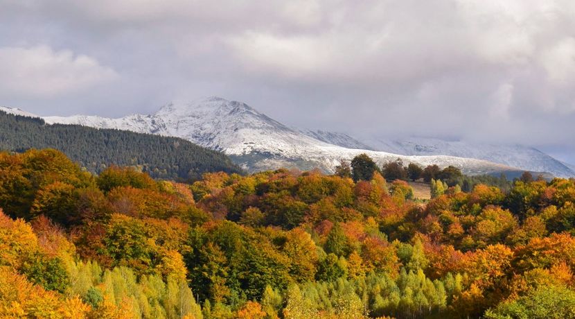  - Frumusetea toamnei