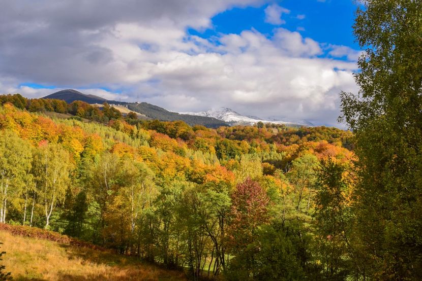  - Frumusetea toamnei