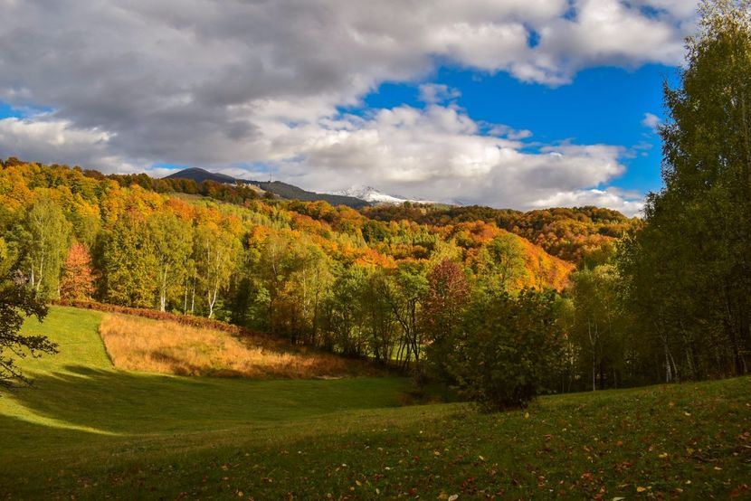  - Frumusetea toamnei