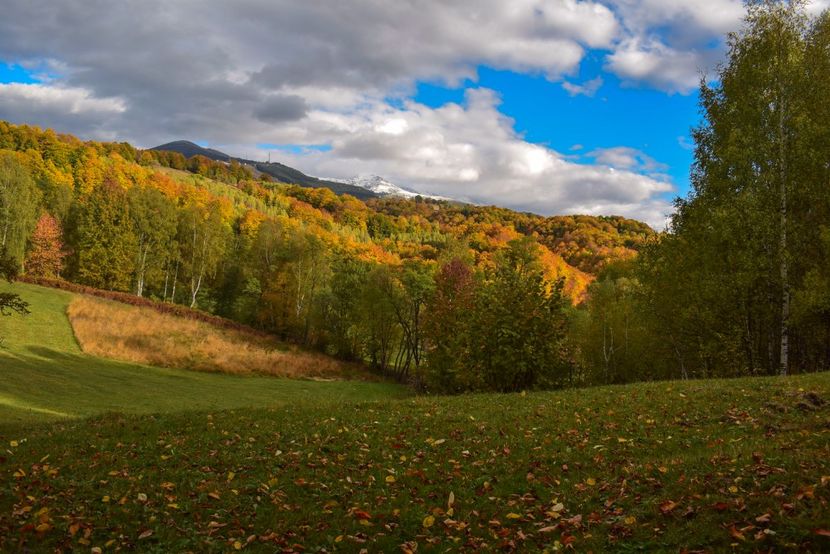  - Frumusetea toamnei