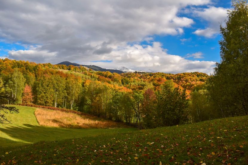  - Frumusetea toamnei