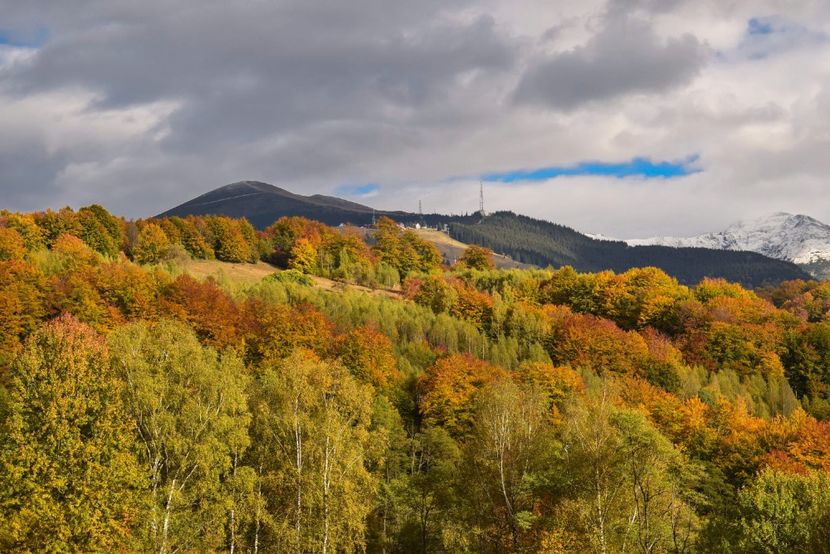  - Frumusetea toamnei