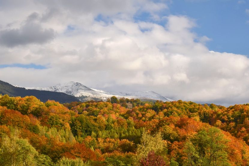  - Frumusetea toamnei