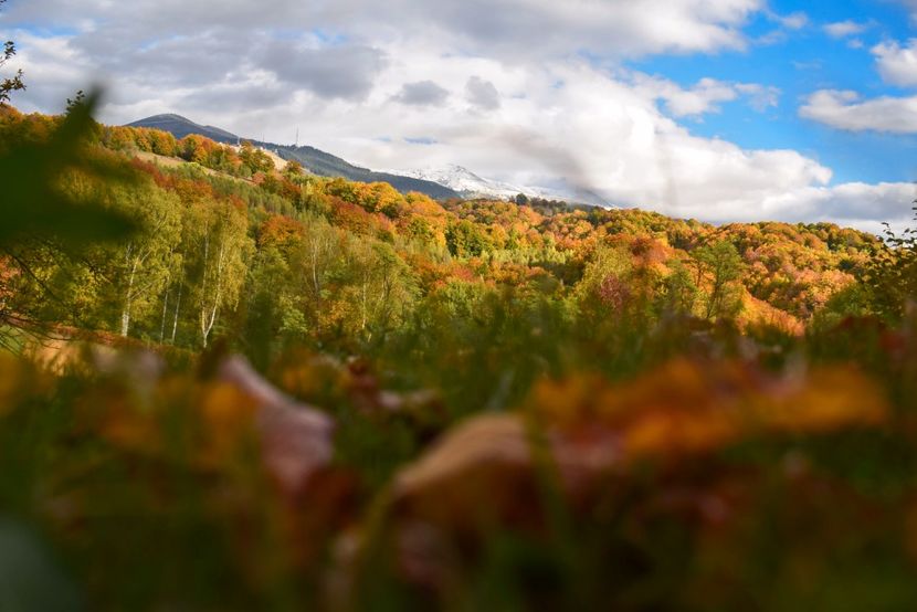  - Frumusetea toamnei