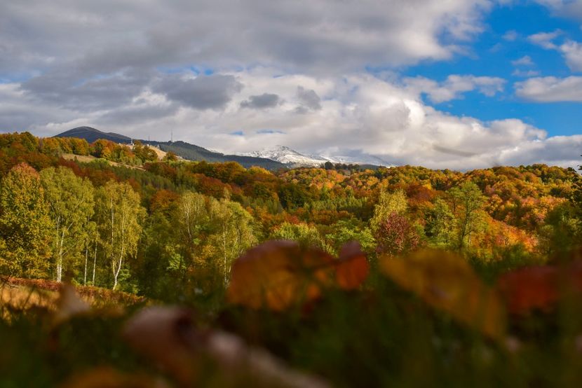  - Frumusetea toamnei