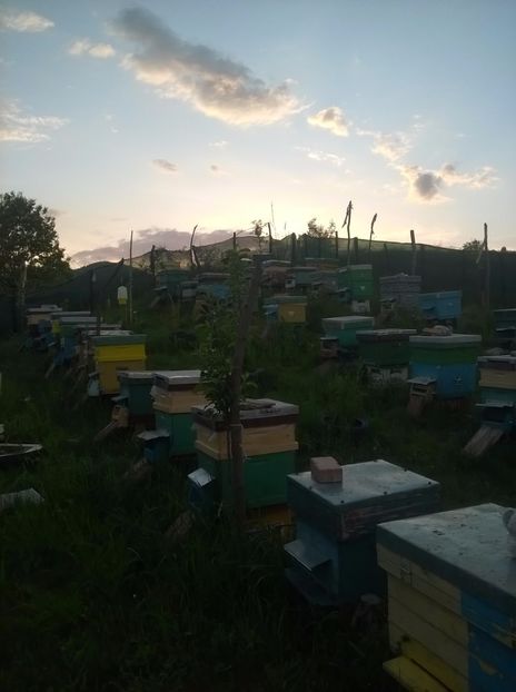  - 2017