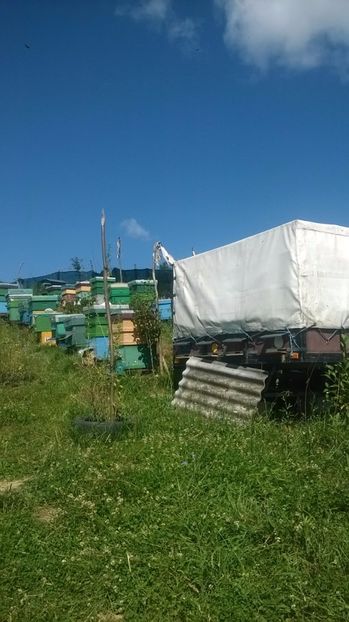  - 2017