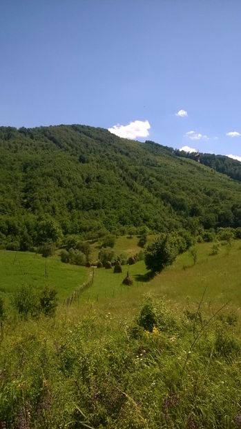  - 2017