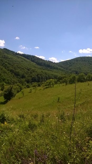  - 2017