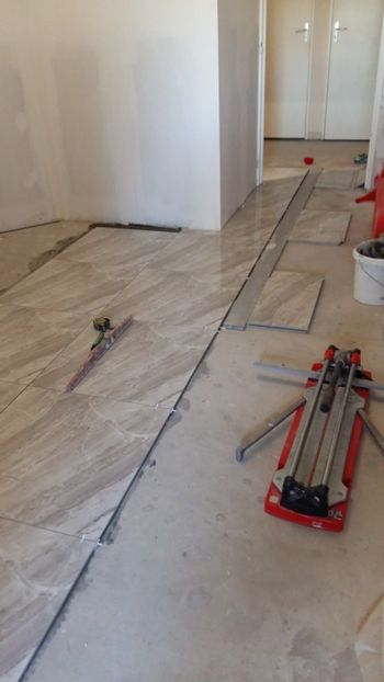  - Lucrari in Lyon 2018