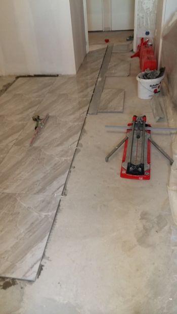  - Lucrari in Lyon 2018