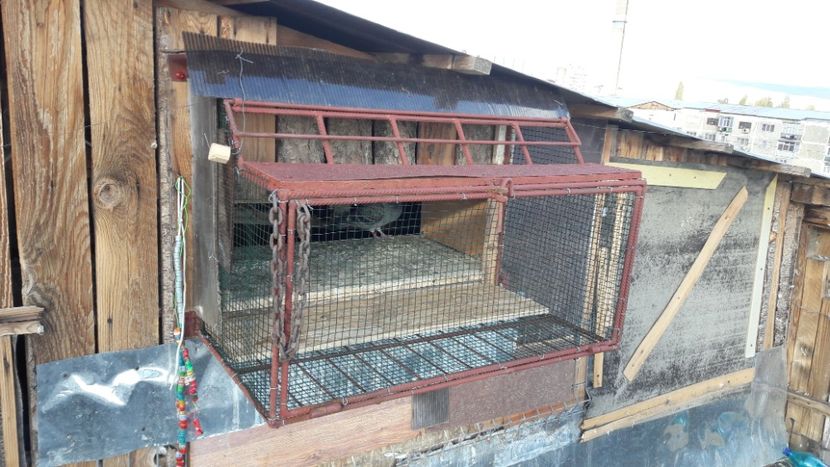  - Noi achizitii 2017