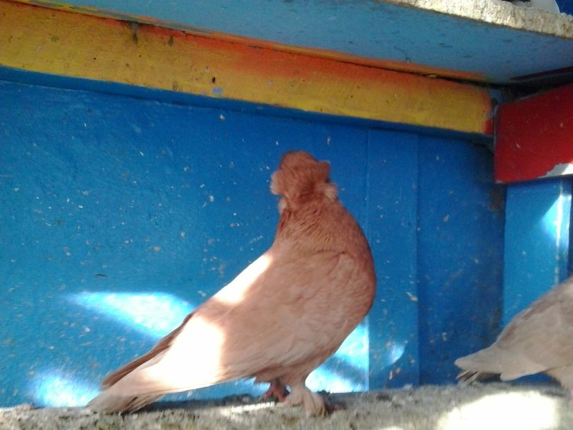 2017-11-27 13.11.00 - GENETICA