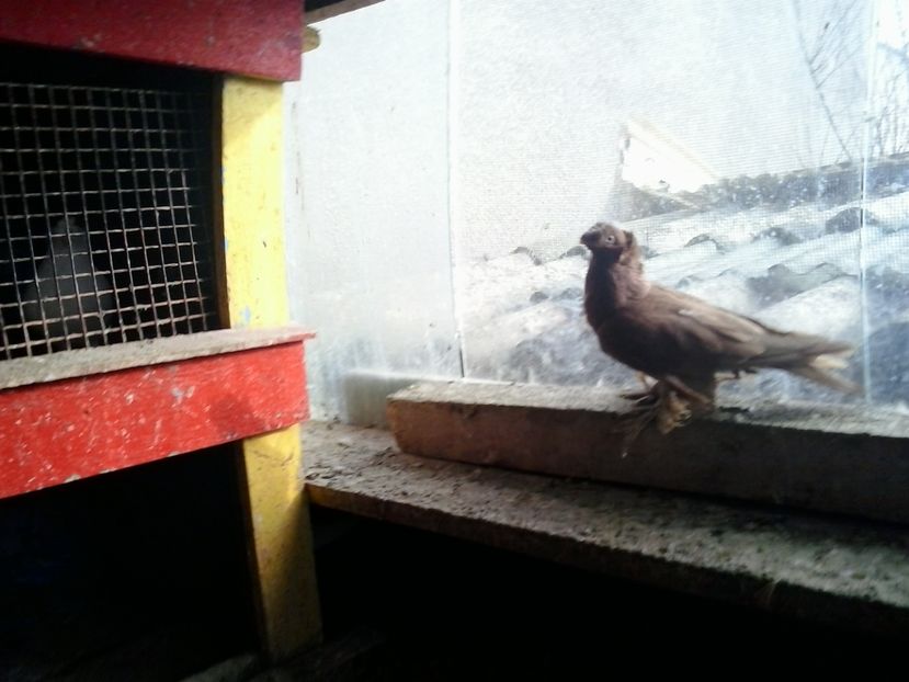 2017-11-27 12.49.03 - GENETICA