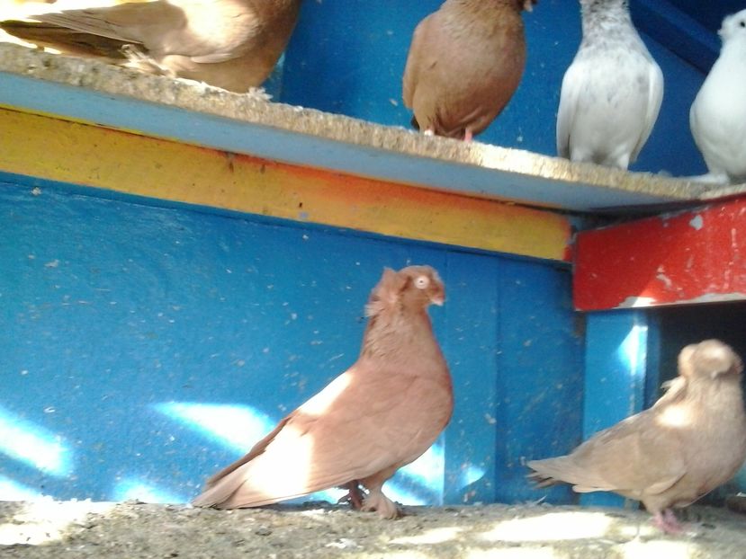 2017-11-27 13.10.47 - GENETICA