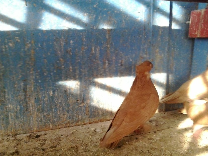 2017-11-27 13.09.56 - GENETICA