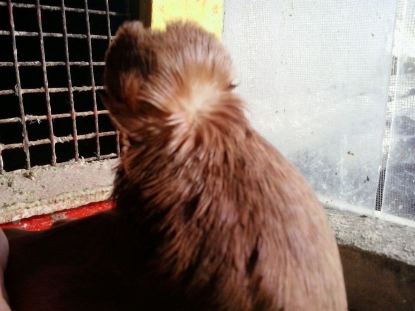 2017-11-27 12.54.36 - GENETICA