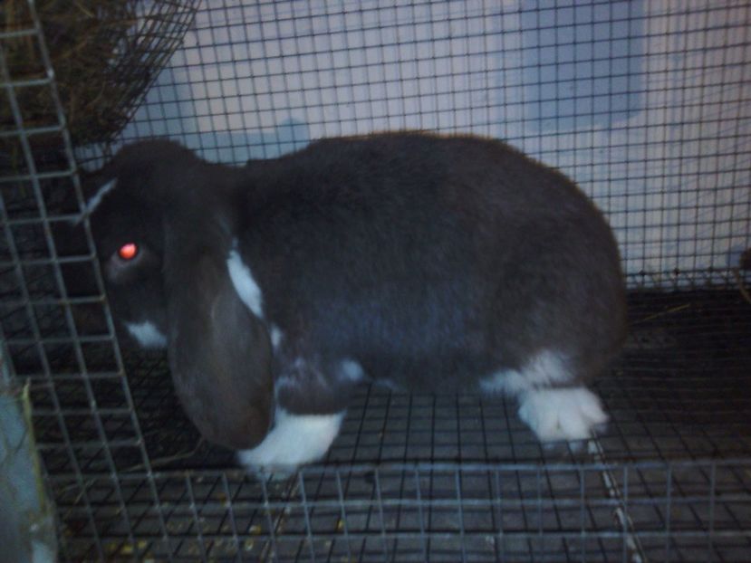  - De vanzare decembrie 2017